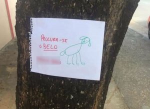 psicologiasdobrasil.com.br - Depois de perder seu cachorrinho, menina de 4 anos faz cartazes com desenho à mão e o encontra