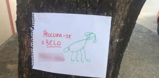 Depois de perder seu cachorrinho, menina de 4 anos faz cartazes com desenho à mão e o encontra