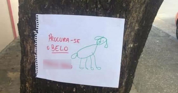 Depois de perder seu cachorrinho, menina de 4 anos faz cartazes com desenho à mão e o encontra