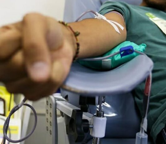 Proposta de meia entrada para doadores de sangue é aprovada na Câmara