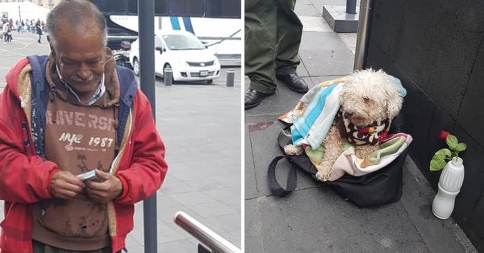 Vovô vende chicletes na rua para alimentar seu cachorrinho