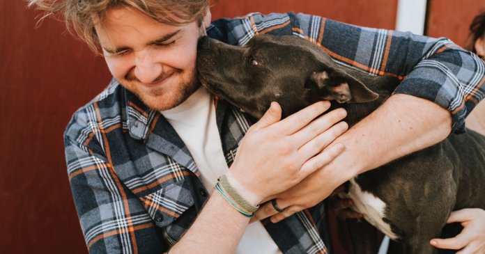 Dez minutos gastos com cães ou gatos pode reduzir o seu estresse, aponta estudo