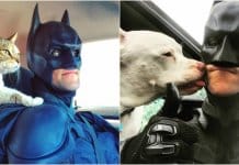 Batman da vida real salva animais de serem sacrificados em abrigos