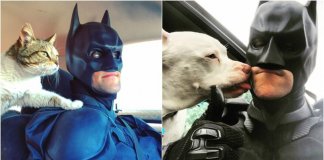 Batman da vida real salva animais de serem sacrificados em abrigos