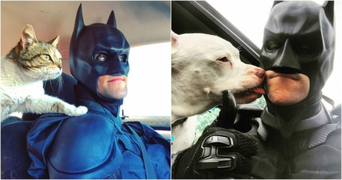 Batman da vida real salva animais de serem sacrificados em abrigos