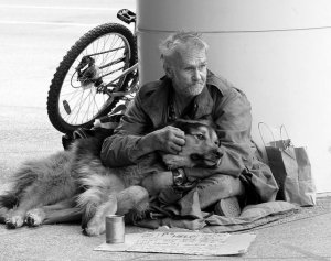 psicologiasdobrasil.com.br - Cães e moradores de rua: O amor mais sincero e desinteressado que pode existir!