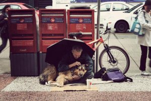 psicologiasdobrasil.com.br - Cães e moradores de rua: O amor mais sincero e desinteressado que pode existir!