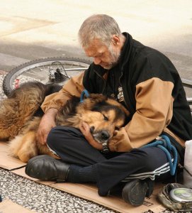 psicologiasdobrasil.com.br - Cães e moradores de rua: O amor mais sincero e desinteressado que pode existir!