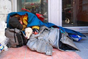 psicologiasdobrasil.com.br - Cães e moradores de rua: O amor mais sincero e desinteressado que pode existir!