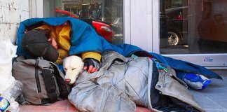 Cães e moradores de rua: O amor mais sincero e desinteressado que pode existir!