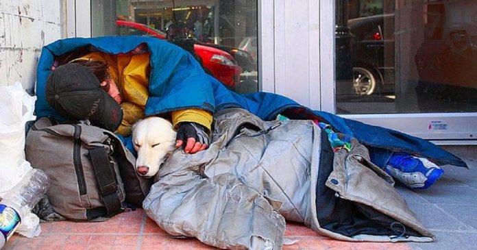 Cães e moradores de rua: O amor mais sincero e desinteressado que pode existir!
