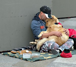 psicologiasdobrasil.com.br - Cães e moradores de rua: O amor mais sincero e desinteressado que pode existir!