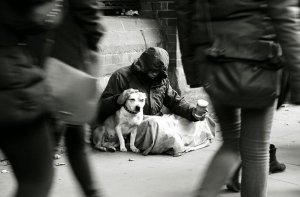 psicologiasdobrasil.com.br - Cães e moradores de rua: O amor mais sincero e desinteressado que pode existir!