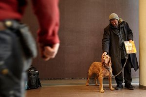 psicologiasdobrasil.com.br - Cães e moradores de rua: O amor mais sincero e desinteressado que pode existir!