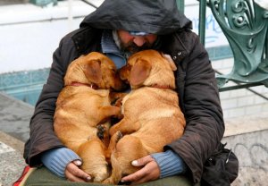 psicologiasdobrasil.com.br - Cães e moradores de rua: O amor mais sincero e desinteressado que pode existir!