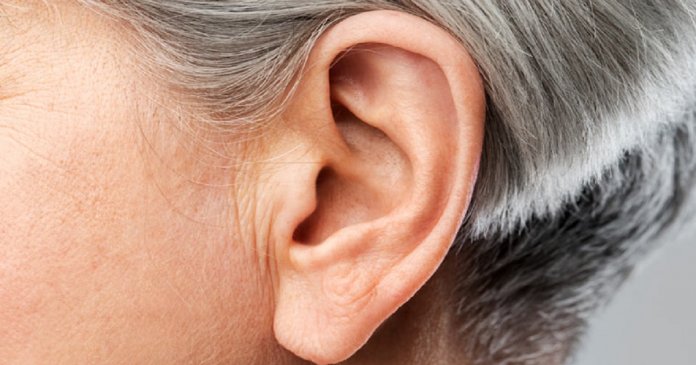 Estimulação do aparelho auditivo pode reduzir os sintomas do Parkinson