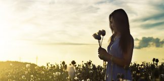 Aprenda a plantar o que deseja colher