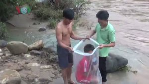 asomadetodosafetos.com - Crianças de uma vila no Vietnã atravessam rio de águas bravas em sacos plásticos para chegar à escola