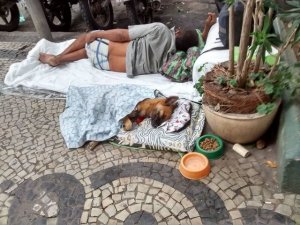 asomadetodosafetos.com - Abrigo no RJ só contrata pessoas sem-teto que amam animais