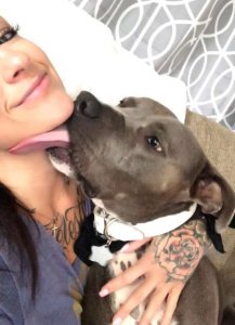 psicologiasdobrasil.com.br - Pit Bull se apaixona por gatinho e convence sua mãe a adotá-lo