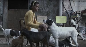 psicologiasdobrasil.com.br - Abrigo no RJ só contrata pessoas sem-teto que amam animais