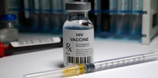 Vacina contra HIV começará a ser testada em humanos no Brasil