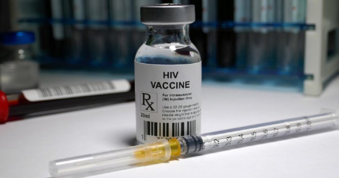 Vacina contra HIV começará a ser testada em humanos no Brasil