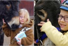Garotinha que não conseguia falar diz as primeiras palavras da vida ao seu burro: “Eu te amo”