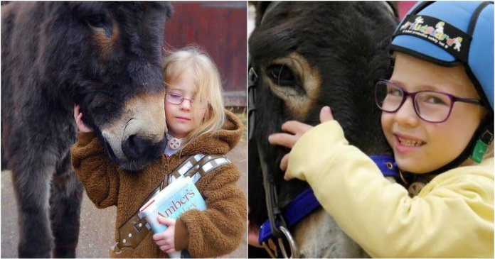 Garotinha que não conseguia falar diz as primeiras palavras da vida ao seu burro: “Eu te amo”