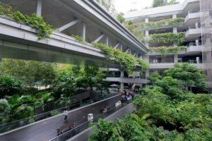 psicologiasdobrasil.com.br - Pensando no bem-estar dos pacientes, hospital abre espaço para a natureza