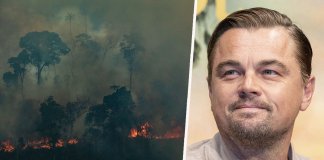 Leonardo DiCaprio faz doação de 5 milhões de dólares pra Amazônia