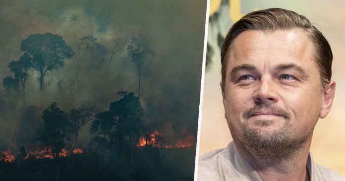 Leonardo DiCaprio faz doação de 5 milhões de dólares pra Amazônia