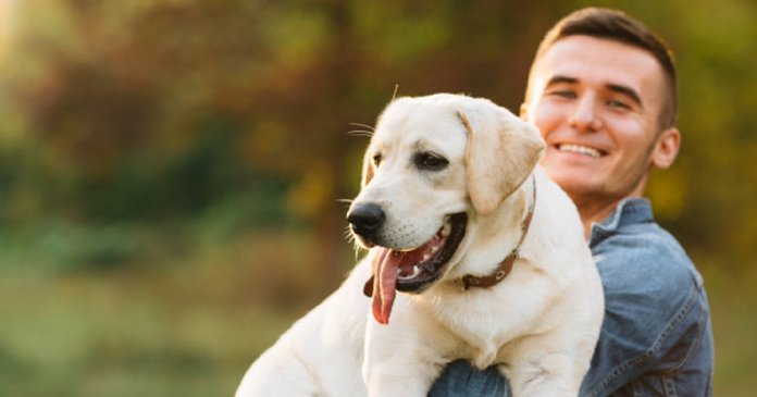 Saiba quais são as raças de cães mais indicadas para pessoas com depressão