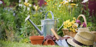 Prática de jardinagem ajuda a combater depressão e ansiedade