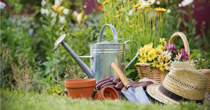 Prática de jardinagem ajuda a combater depressão e ansiedade