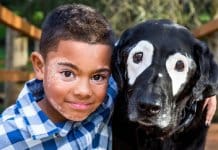 Menino com vitiligo recupera autoestima ao conhecer cão labrador com a mesma condição