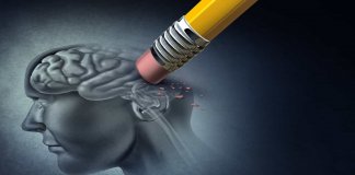 Cura para Alzheimer pode estar nas células de gordura do corpo humano