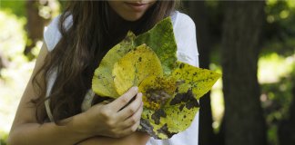 A vida fica mais leve quando a gente prefere florir, em vez de ferir