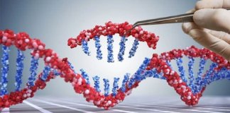 Nova técnica de edição de DNA possibilitará cura de até ‘89% das doenças genéticas’