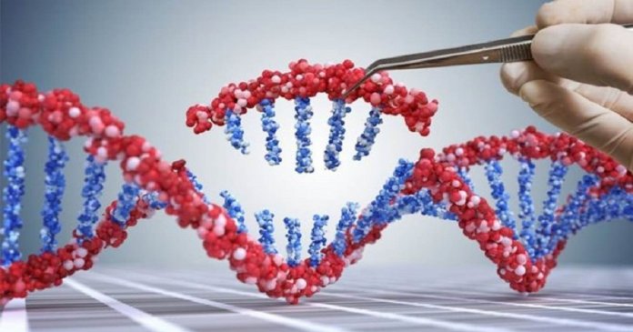 Nova técnica de edição de DNA possibilitará cura de até ‘89% das doenças genéticas’