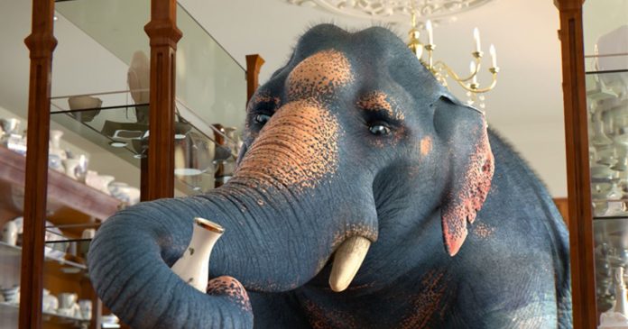 A metáfora da indelicadeza: o elefante em loja de porcelanas