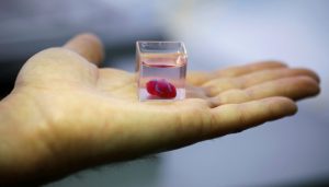 psicologiasdobrasil.com.br - Cientistas imprimem em 3D o primeiro coração feito das próprias células do paciente