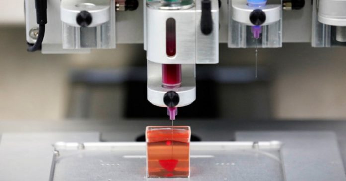 Cientistas imprimem em 3D o primeiro coração feito das próprias células do paciente