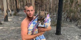 Rapaz põe a própria vida em risco e salva nove coalas de incêndios florestais na Austrália