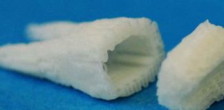 Implante de células-tronco podem fazer crescer dentes novos em apenas 2 meses