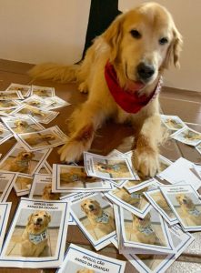 psicologiasdobrasil.com.br - Com cartinhas, crianças retribuem amor do cãoterapeuta que as ajudou e hoje está doente