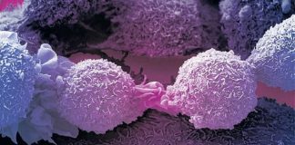 Cientistas descobrem célula que elimina quase todos os tipos de câncer