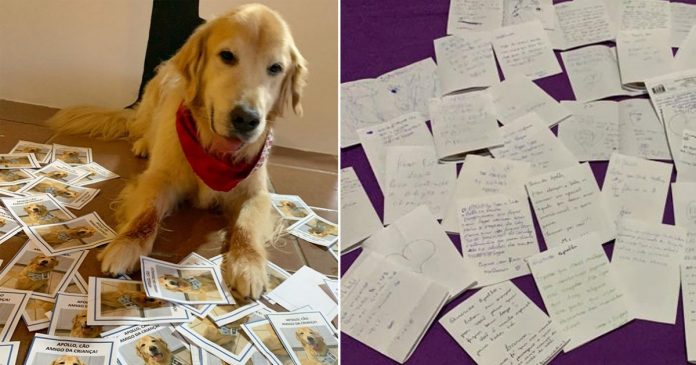 Com cartinhas, crianças retribuem amor do cãoterapeuta que as ajudou e hoje está doente