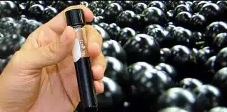 Extrato de Jabuticaba contra diabetes e gordura no fígado passará a ser comercializado em 2020 Extrato de Jabuticaba contra diabetes e gordura no fígado passará a ser comercializado em 2020