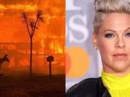 Cantora Pink doa R$ 2 milhões para combate a incêndios florestais na Austrália